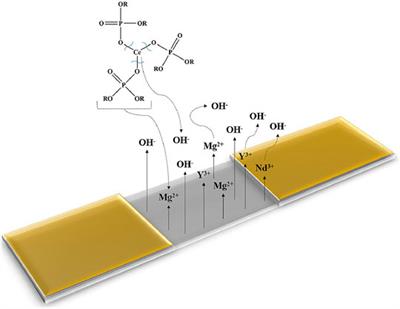Rare Earth Based Magnesium Alloys—A Review on WE Series